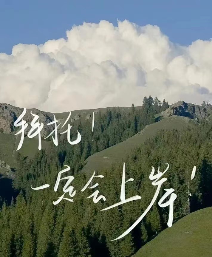 2024年德国欧洲杯